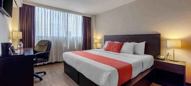 圣路易斯波托西舒适酒店(Comfort Inn San Luis Potosi)图片