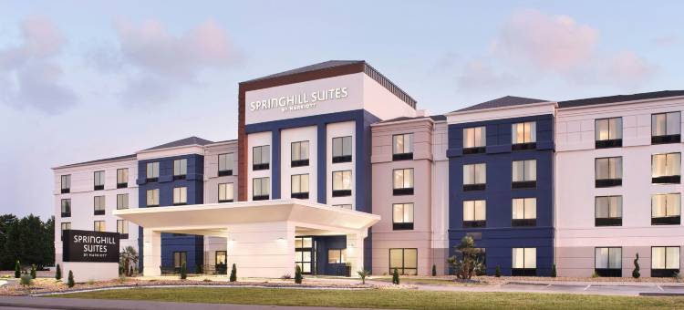 佛罗伦萨万豪SpringHill酒店(SpringHill Suites Florence)图片