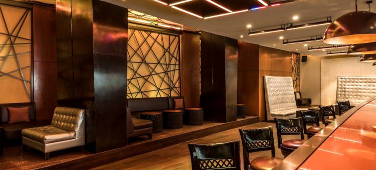 新德里公园酒店(The Park New Delhi)图片