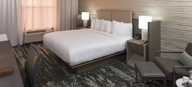 希尔顿逸林酒店-波士顿洛根机场切尔西(DoubleTree by Hilton Boston Logan Airport Chelsea)图片