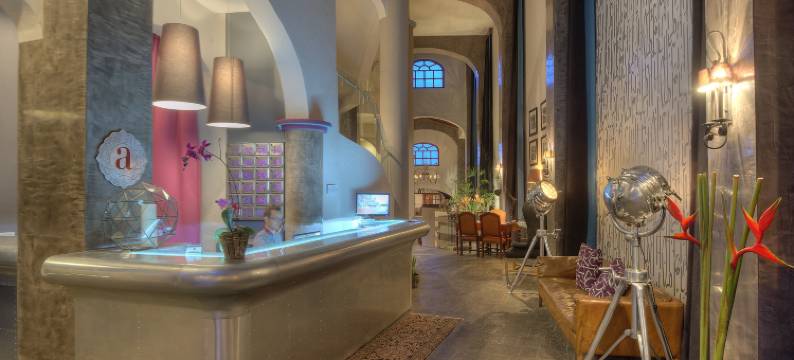 阿尔塔拉斯帕洛马斯酒店(Alta Las Palomas)图片