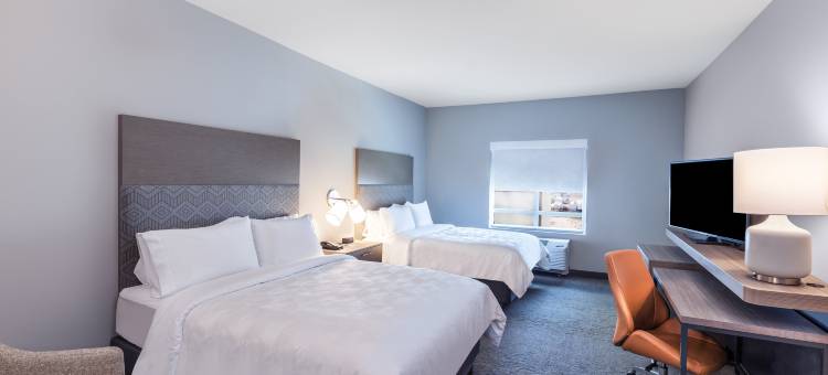 拉伯克南假日酒店(Holiday Inn Lubbock South)图片