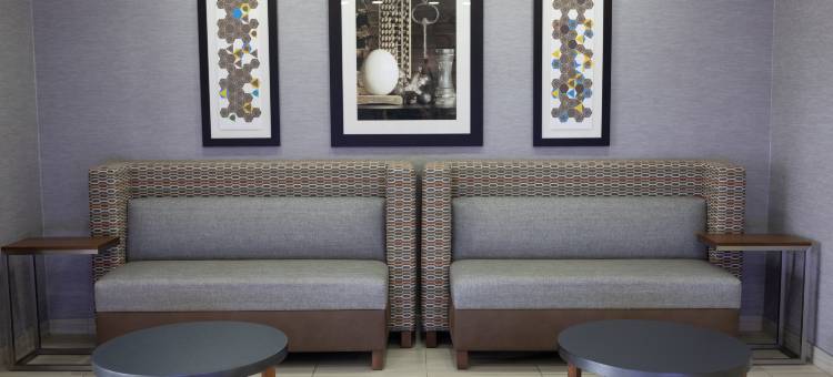 智选假日套房酒店雅典(Holiday Inn Express & Suites Athens)图片