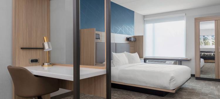 马里奥特杜汉姆市景观SpringHill套房(SpringHill Suites Durham City View)图片