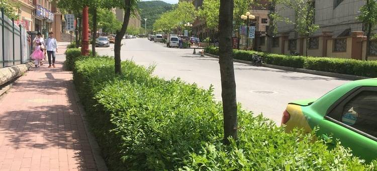 密码锁民宿(新岭路1号分店)图片