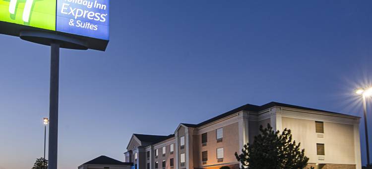 智选假日套房酒店维尼塔(Holiday Inn Express & Suites Vinita)图片