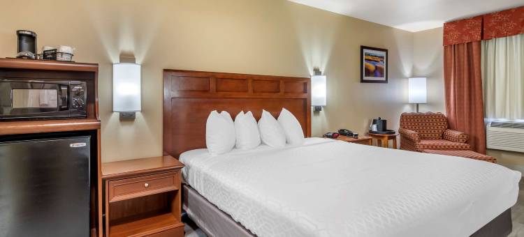 道斯瑞欧贝斯特韦斯特优质酒店(Best Western Dos Rios)图片