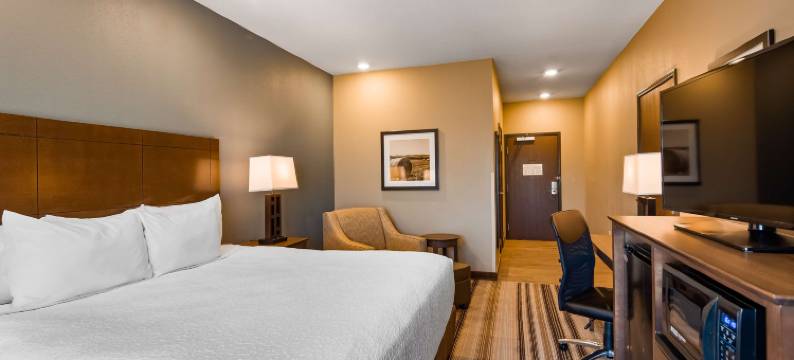 奥弗兰贝斯特韦斯特优质旅馆(Best Western Plus Overland Inn)图片