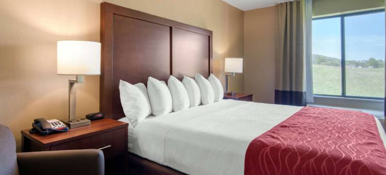 舒适酒店及套房库珀斯敦 / 米尔福德(Comfort Inn & Suites Milford / Cooperstown)图片