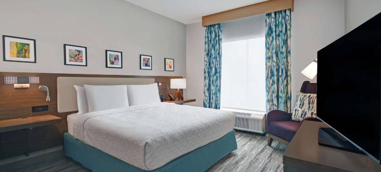 休斯顿医疗中心希尔顿花园酒店(Hilton Garden Inn Houston Medical Center, TX)图片