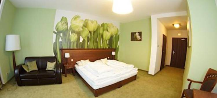 缅济热奇尼欧酒店(Hotel Neo Międzyrzecz)图片