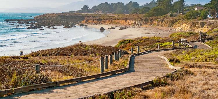 福格切尔旅馆(Fogcatcher Inn)图片