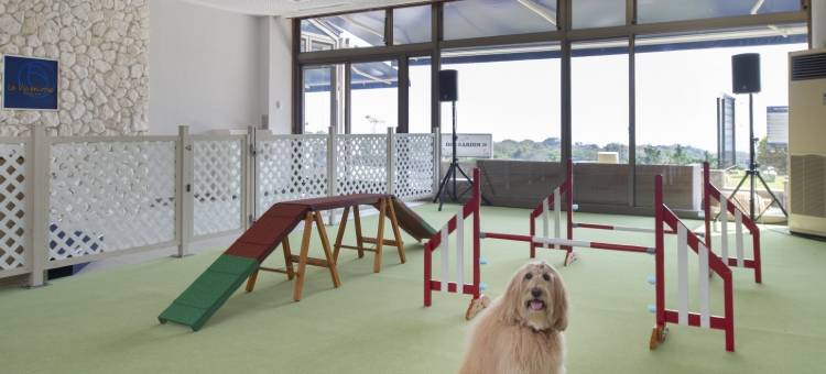 万斯度假村城崎海岸(Wan's Resort Jogasaki Kaigan)图片