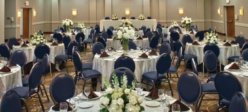 孟菲斯逸林酒店(DoubleTree by Hilton Memphis)图片