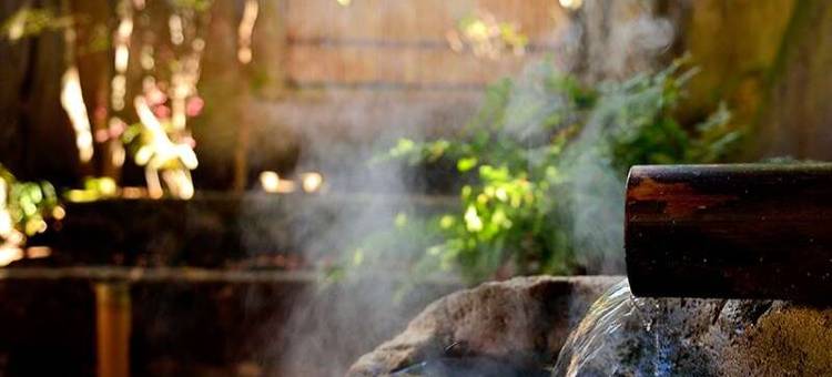 摘草之宿Komatsu旅馆(Tsumikusa No Yado Komatsu Ryokan)图片