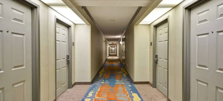 家木酒店达拉姆大学教堂山分校I-40(Homewood Suites by Hilton Durham - Chapel Hill I-40 & Hwy. 15-501)图片