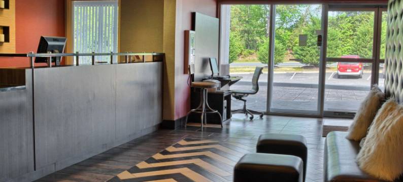 路斯格兰帝王之城附近舒适酒店(Comfort Inn Ruther Glen Near Kings Dominion)图片