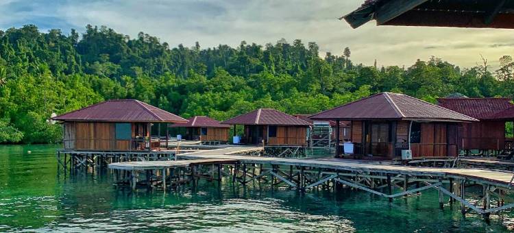 科里亚纳潜水度假村(Coriana Dive Resort)图片