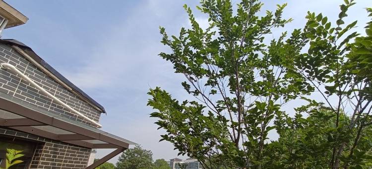 河畔小屋(念四桥路分店)图片