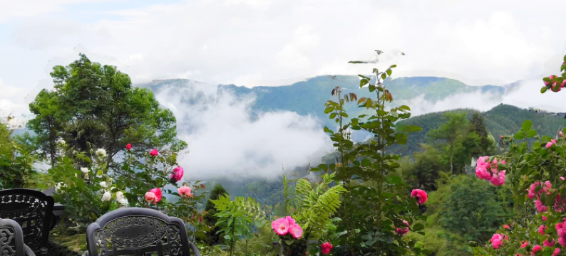 云和梯田云上五天民宿图片