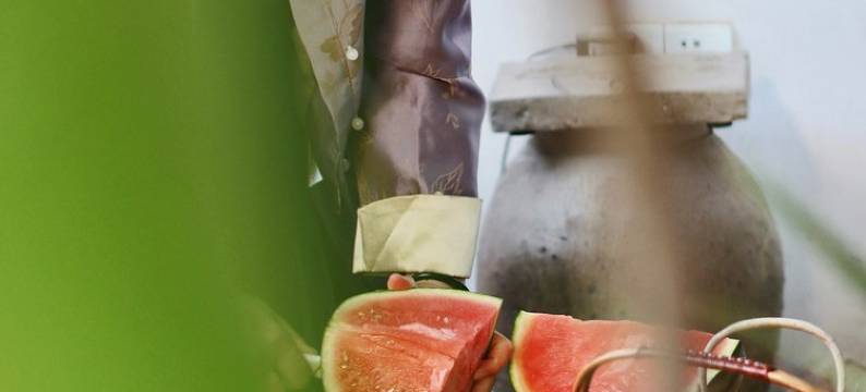 扬州六一居别墅图片