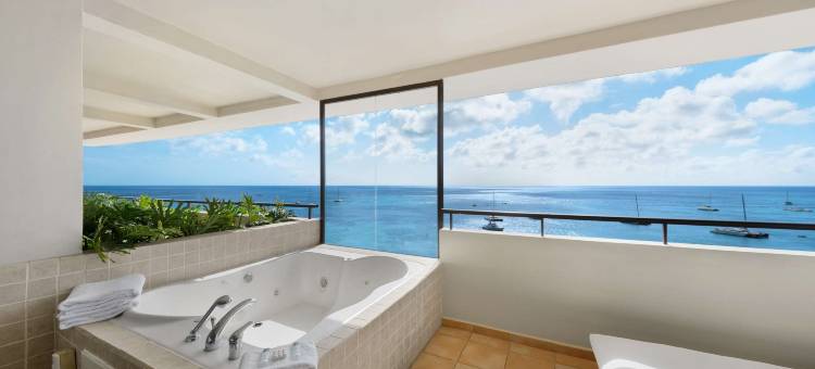 巴塞罗阿鲁巴度假酒店-全包式(Barceló Aruba - All Inclusive)图片