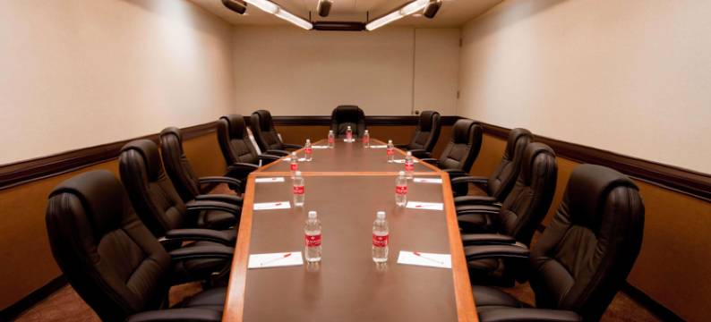 里贾纳市中心温德姆华美达广场酒店(Ramada Plaza by Wyndham Regina Downtown)图片