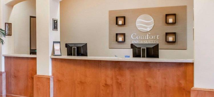 索科罗舒适套房酒店(Comfort Inn & Suites)图片