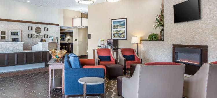 阿伯丁舒适套房酒店-靠近阿伯丁试验场(Comfort Inn & Suites Aberdeen)图片