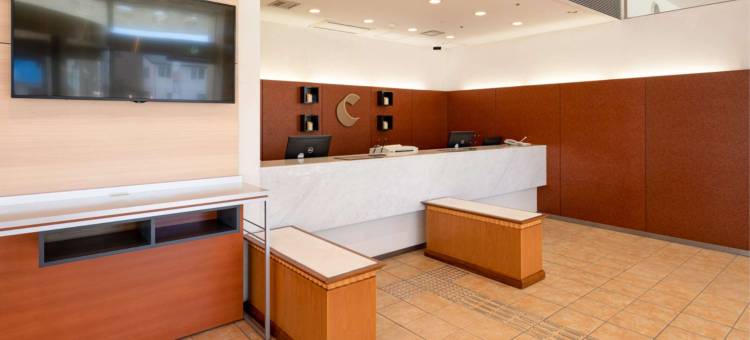 丰川舒适酒店(Comfort Hotel Toyokawa)图片