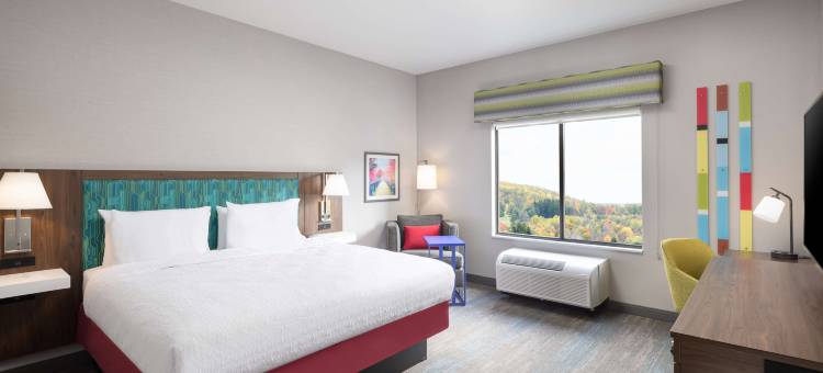 霍内尔欢朋酒店(Hampton Inn Hornell)图片