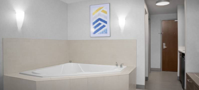 智选假日套房酒店亚历山大 - 贝尔沃堡(Holiday Inn Express & Suites ALEXANDRIA - FORT BELVOIR by IHG)图片