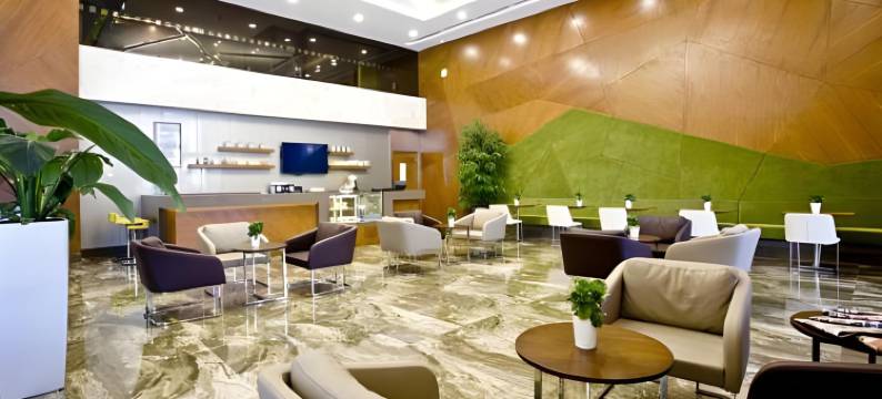 加济安泰普假日酒店(Holiday Inn Gaziantep Sehitkamil)图片