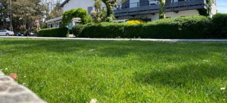 奥贝尔格巴特比酒店(L Auberge de la Pointe)图片