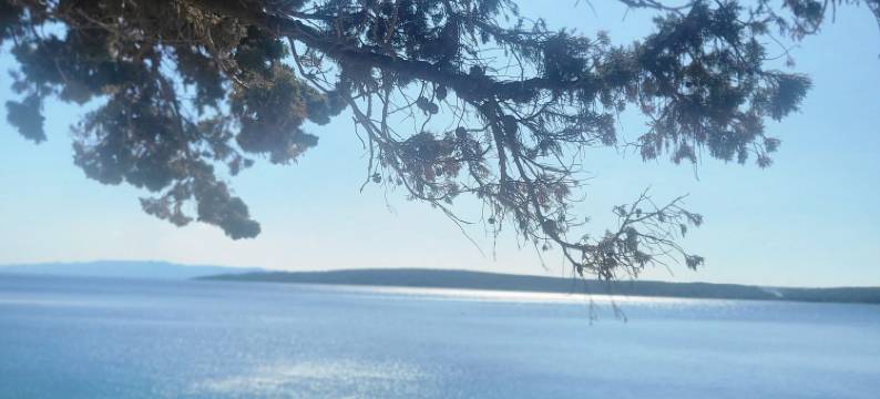 Plava Laguna /Bed and Breakfast图片