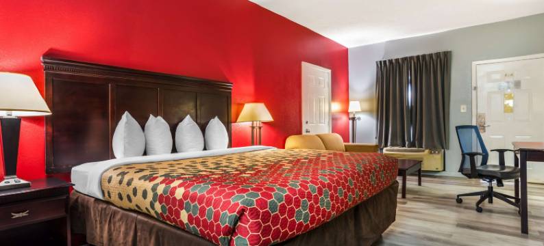 伊康套房旅馆(Econo Lodge Inn & Suites)图片