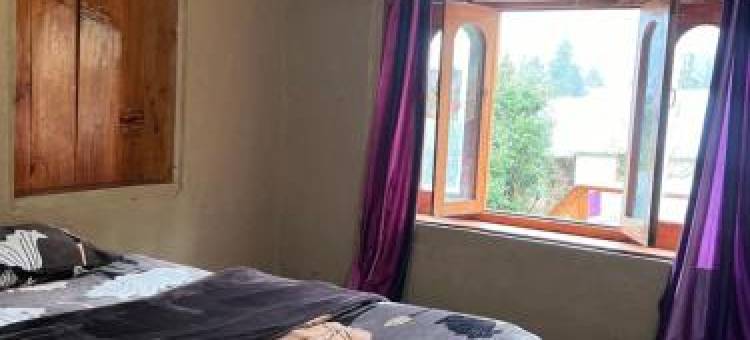 Old Brahma Homestay图片