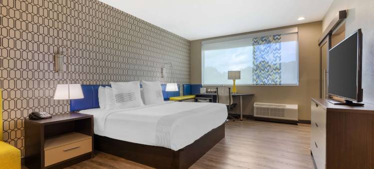 达拉斯迪索托格洛贝斯特韦斯特酒店(GLo Best Western DeSoto Dallas)图片
