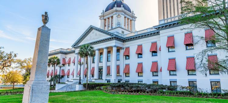 塔拉哈西-大学城英迪格酒店(Hotel Indigo TALLAHASSEE - COLLEGETOWN by IHG)图片