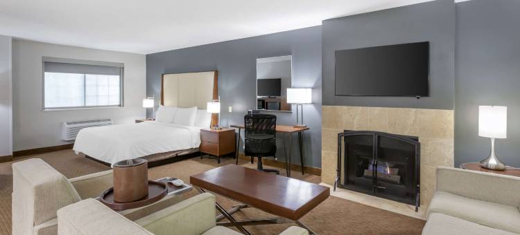 木棉树贝斯特韦斯特优质酒店(Best Western Plus CottonTree Inn)图片