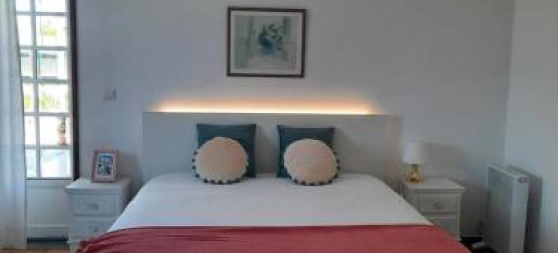 Casa Das Camelias图片