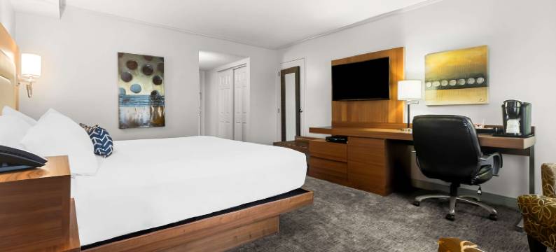 劳瑞尔山贝斯特韦斯特优质酒店(Best Western Plus Mont-Laurier)图片