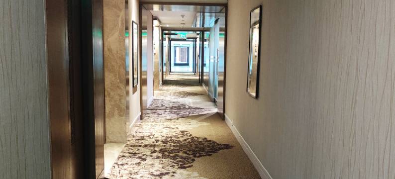 新德里奥卡哈皇冠假日酒店(Crowne Plaza NEW DELHI OKHLA by IHG)图片