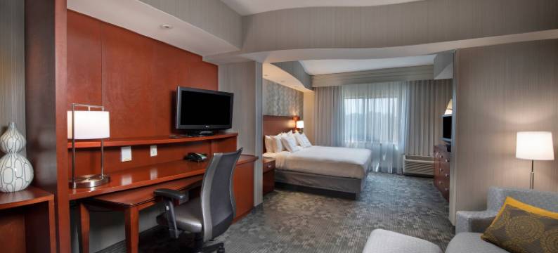 亚特兰大麦克多诺万怡酒店(Courtyard Atlanta McDonough)图片