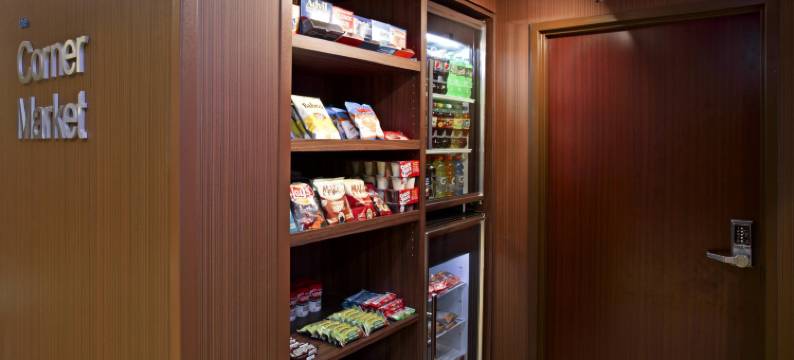 坦帕布兰登万枫酒店及套房(Fairfield Inn & Suites Tampa Brandon)图片