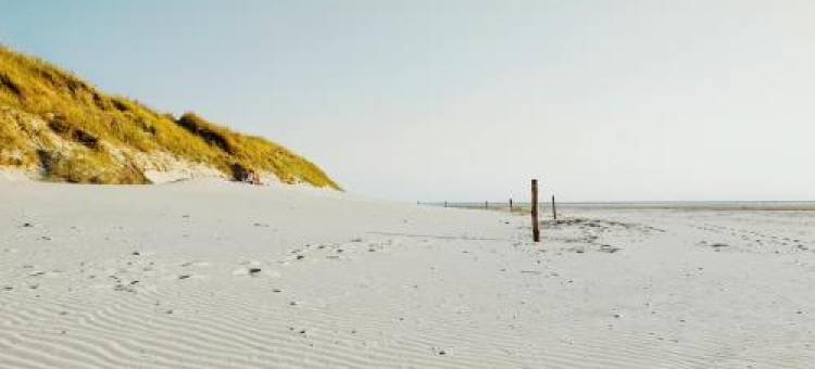 Moderne Küstenbutze #1 im Beach-Style图片