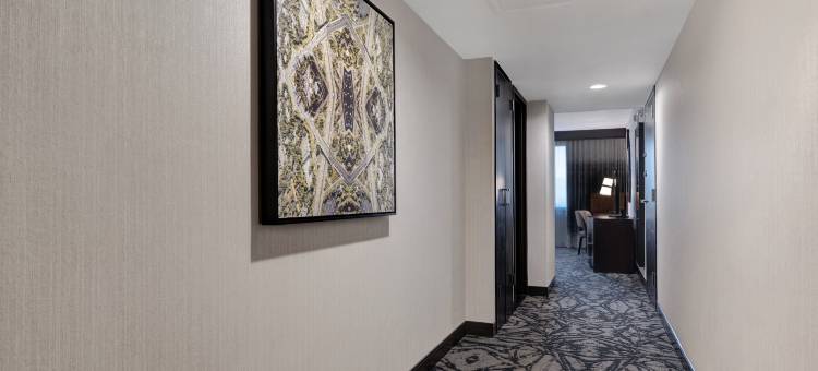 圣克拉拉希尔顿安泊酒店(Embassy Suites by Hilton Santa Clara Silicon Valley)图片