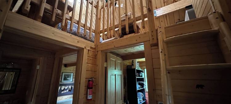 蒙大拿州西北部林地宁静放松温馨木屋 11月特惠!(Cozy Cabin in the Woods of NW Montana, Peaceful & Relaxing! November SPECIALS!)图片