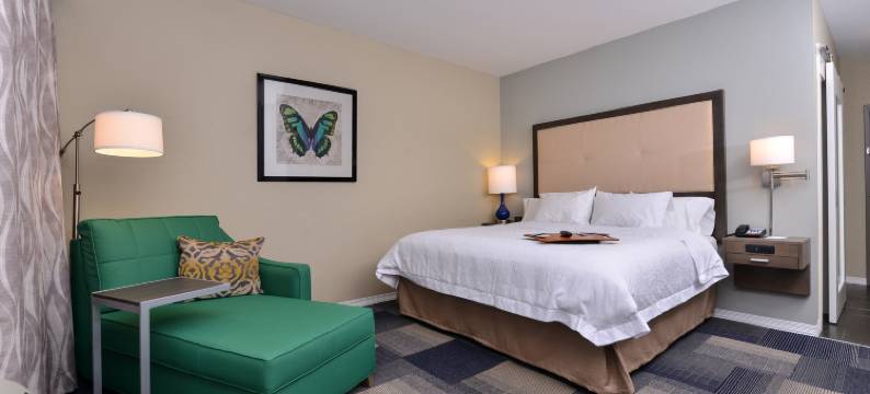 布鲁萨尔拉斐特欢朋酒店(Hampton Inn Broussard-Lafayette Area)图片