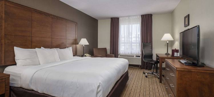 舒适酒店(Comfort Inn - Gander)图片